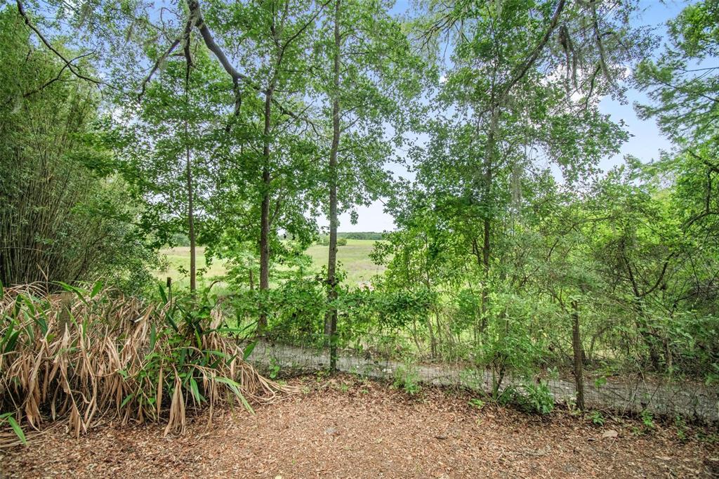 156 Kingfish Road Pomona Park, FL 32181 - Photo 44 of 55 a view of a yard with plants and large trees
