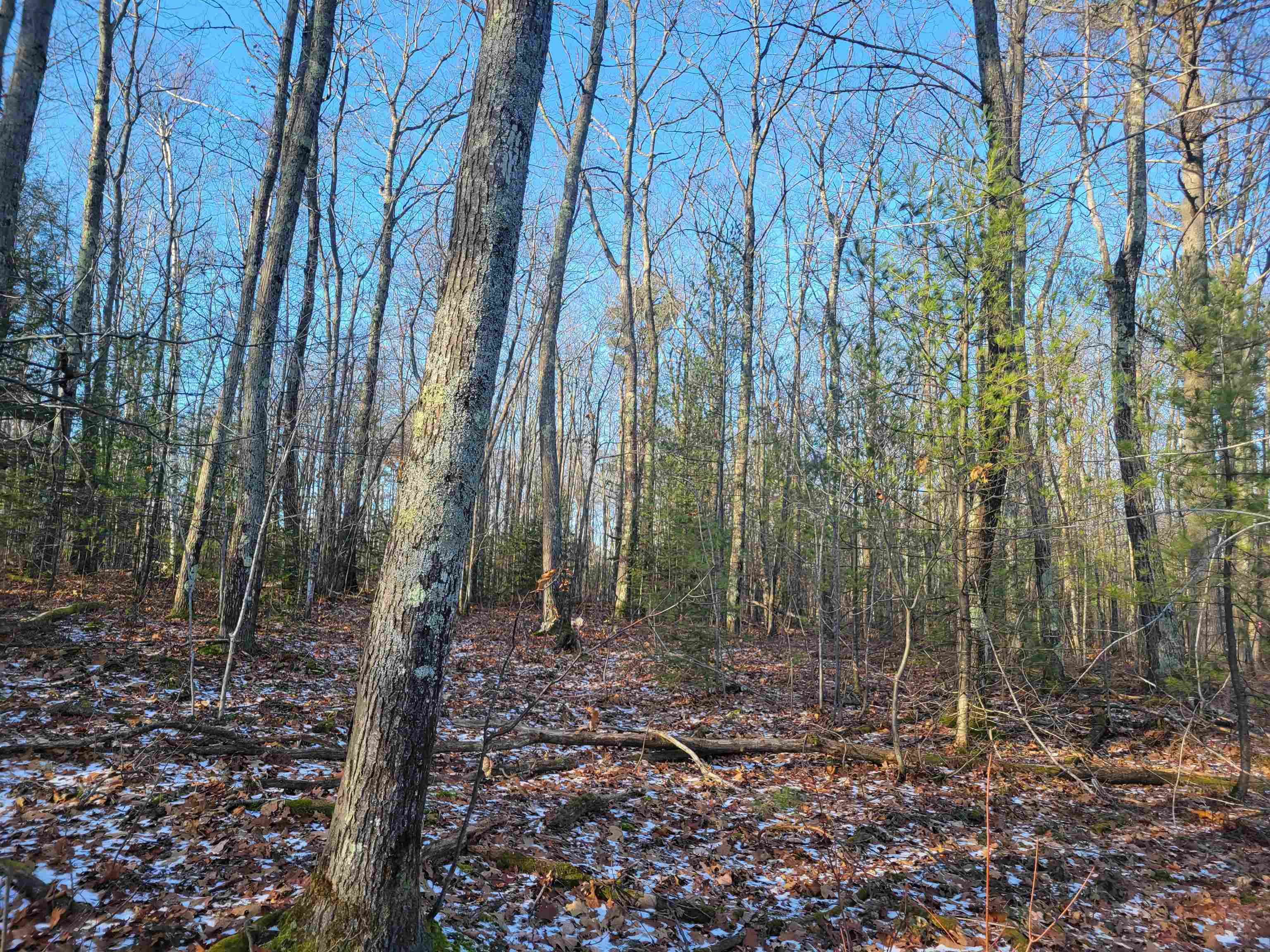 88-xxx Turner Road Bayfield, WI 54814 - Photo 13 of 21