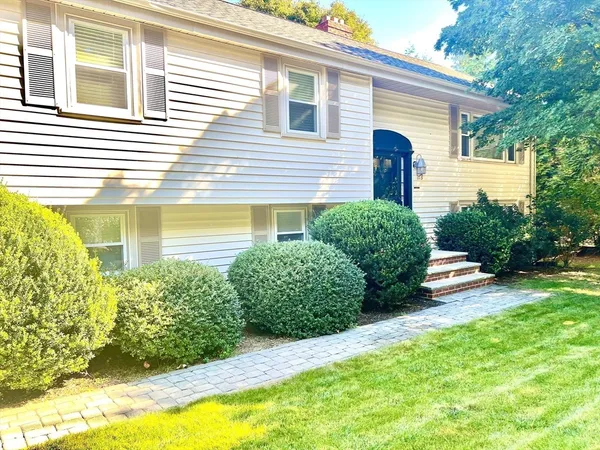 a view of a yard with a house and a large tree