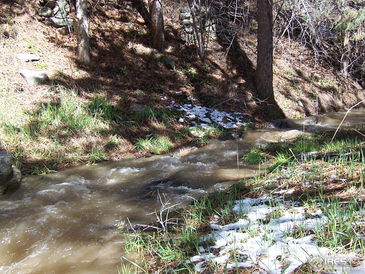459 Gold Run Road Boulder, CO 80302 - Photo 18 of 18