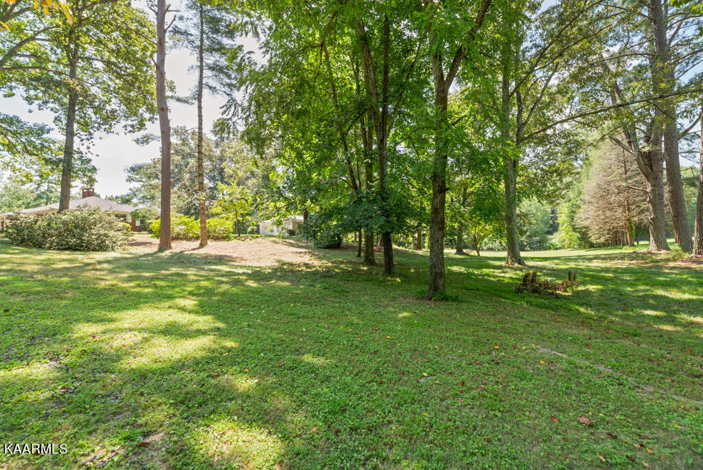 105 Dairy Pond Road Norris, TN 37828 - Photo 32 of 32 DryPnd105 (22)
