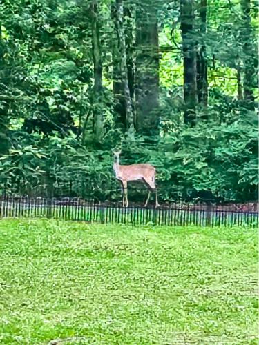 3940 Union Road Southwest Atlanta, GA 30349 - Photo 2 of 31