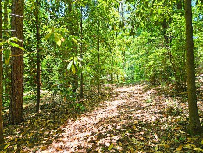 3940 Union Road Southwest Atlanta, GA 30349 - Photo 24 of 31