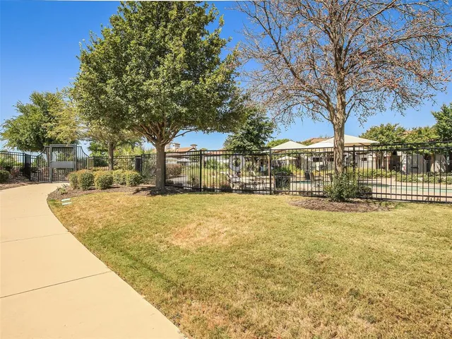 a view of a yard with plants and trees