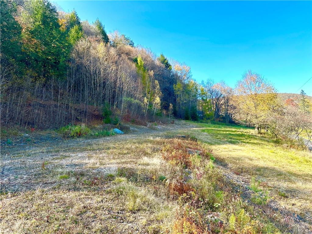 Hazel Road Livingston Manor, NY 12758 - Photo 1 of 1 View of yard