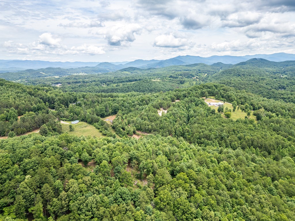 1 Stormy Ridge Brasstown, NC 28902 - Photo 18 of 20