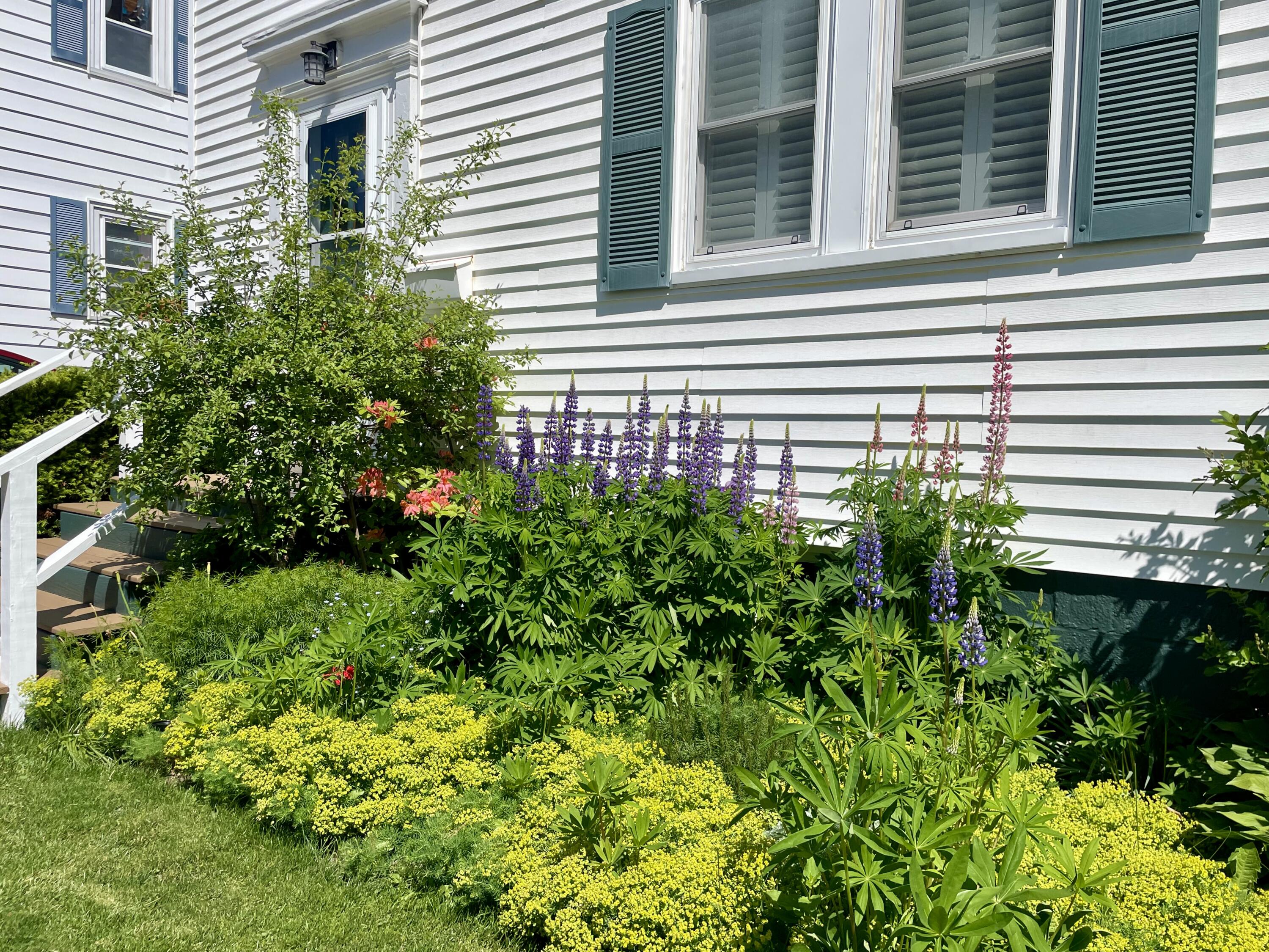 3 Andrews Road Bath, ME 04530 - Photo 33 of 35 IMG_1442