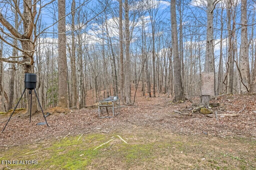 1030 Boles Beaty Road Alpine, TN 38543 - Photo 16 of 20 225806_32