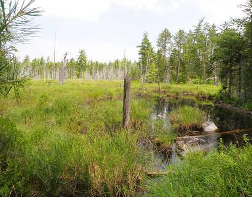 0 Southwest Brook Road Beddington, ME 04622 - Photo 1 of 16 Land/Lot. Beaver flowage offers good...