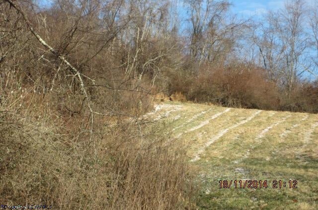 000 Jarvisville Road Salem, WV 26426 - Photo 3 of 20 Gallery Image 3