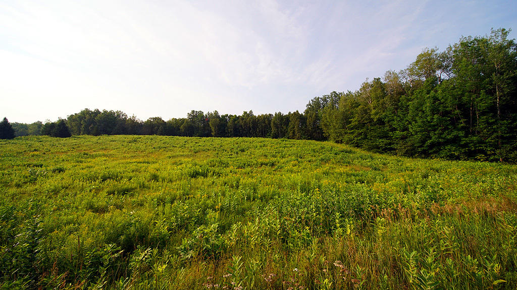 Lot 9-1 New Limerick Road Houlton, ME 04730 - Photo 36 of 40 leisner-maine-land-25