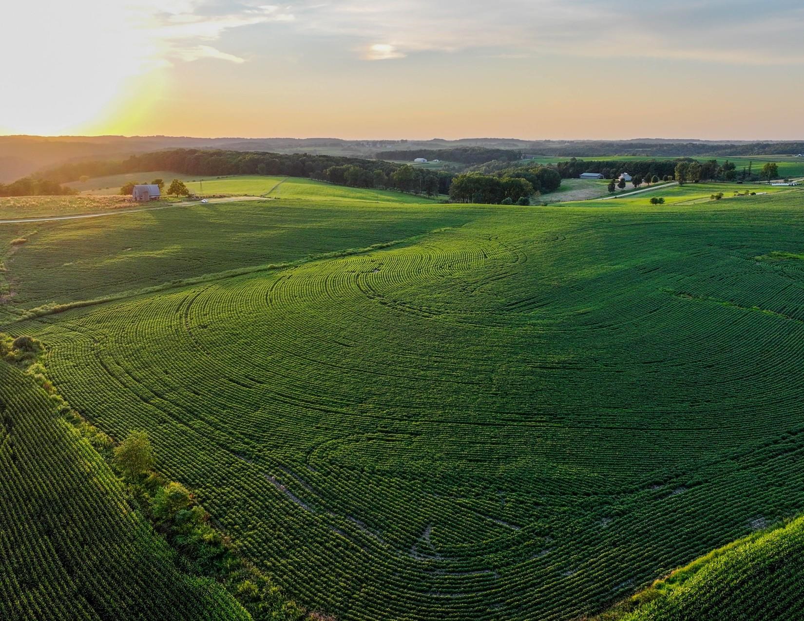 40.22-acres Stump Ridge Road Viroqua, WI 54665 - Photo 12 of 12 Gallery Image 12
