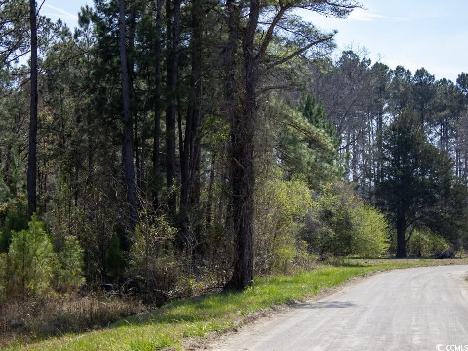 0 Namon Place Green Sea, SC 29545 - Photo 6 of 6 View of street