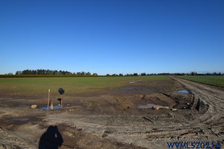 22506 Bents Road Northeast Aurora, OR 97002 - Photo 12 of 33