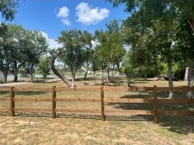 a view of a yard with large trees