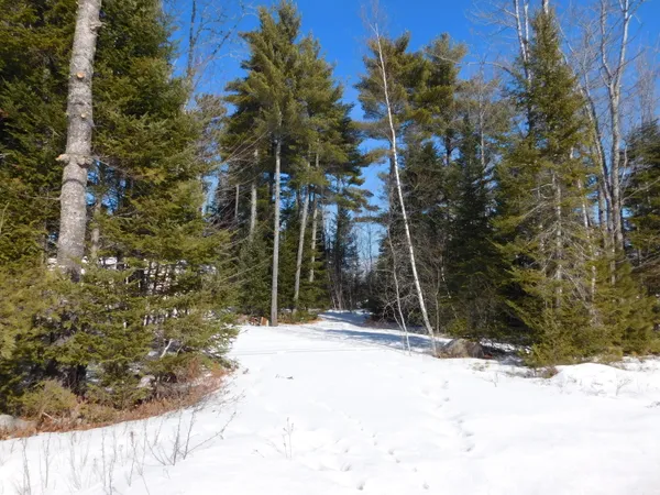 $65,000 | 638 Greenfield Road, Greenbush, ME 04418