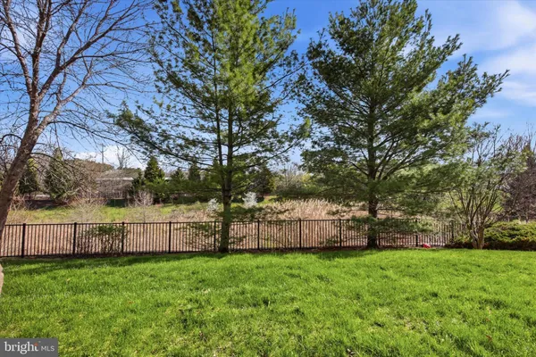 a view of backyard with large trees