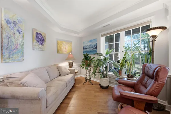 a living room with furniture or couch and a potted plant