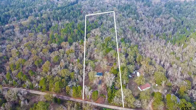 a view of a forest from a window