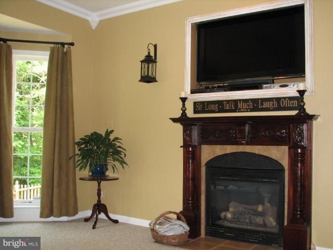 5910 Sunlight Mountain Road Spotsylvania, VA 22553 - Photo 16 of 30 a living room with a fireplace a flat screen tv and a window