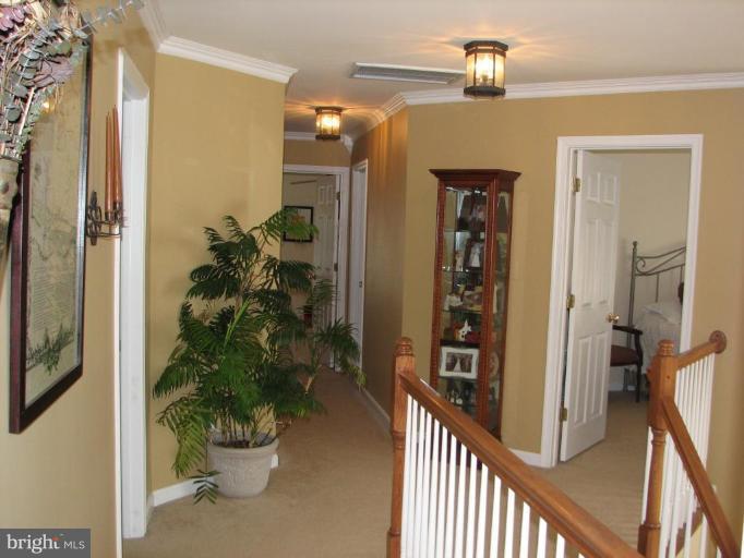 5910 Sunlight Mountain Road Spotsylvania, VA 22553 - Photo 24 of 30