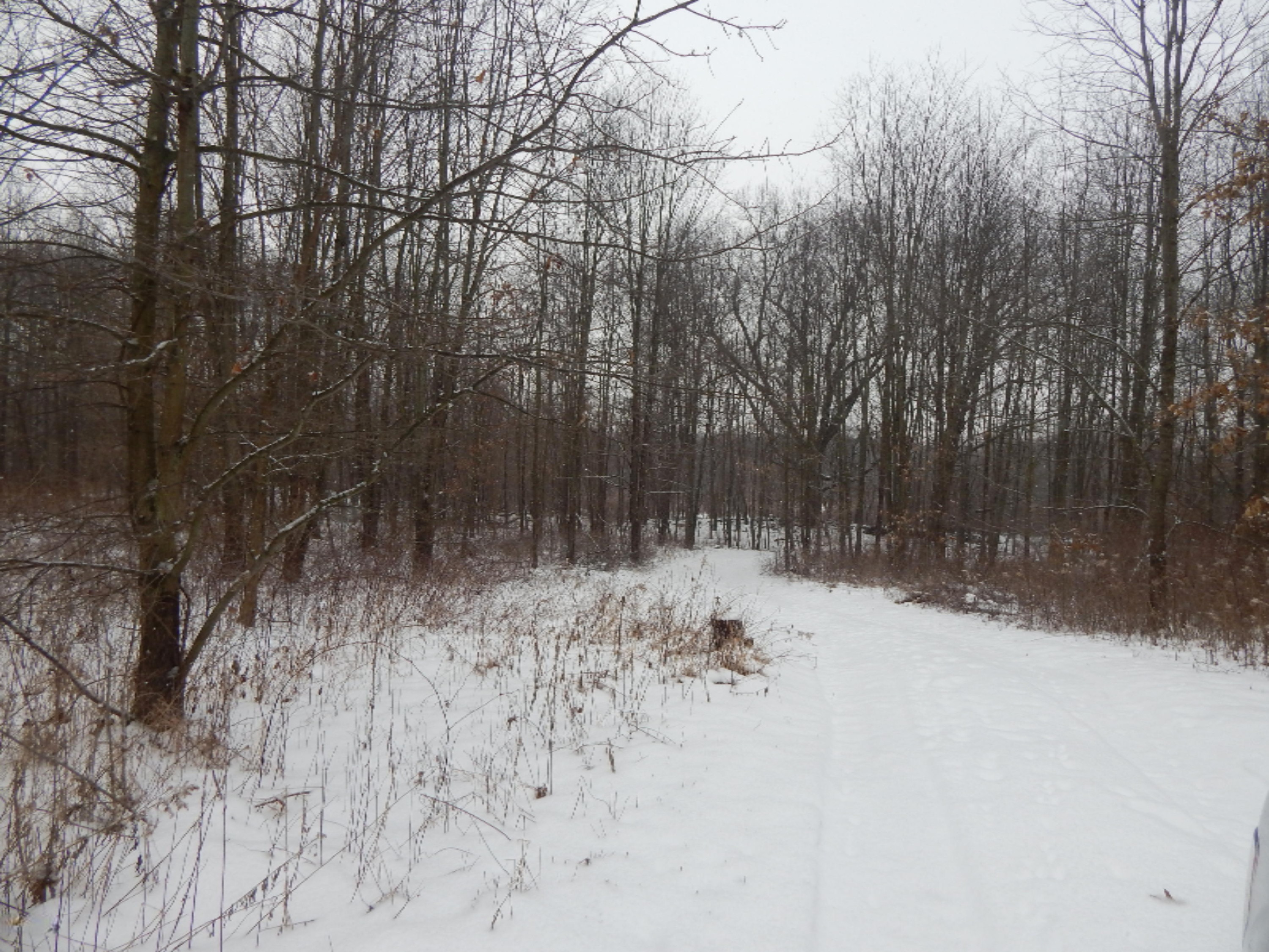 5660 Mann Road Concord, MI 49237 - Photo 17 of 24 DSCN1349