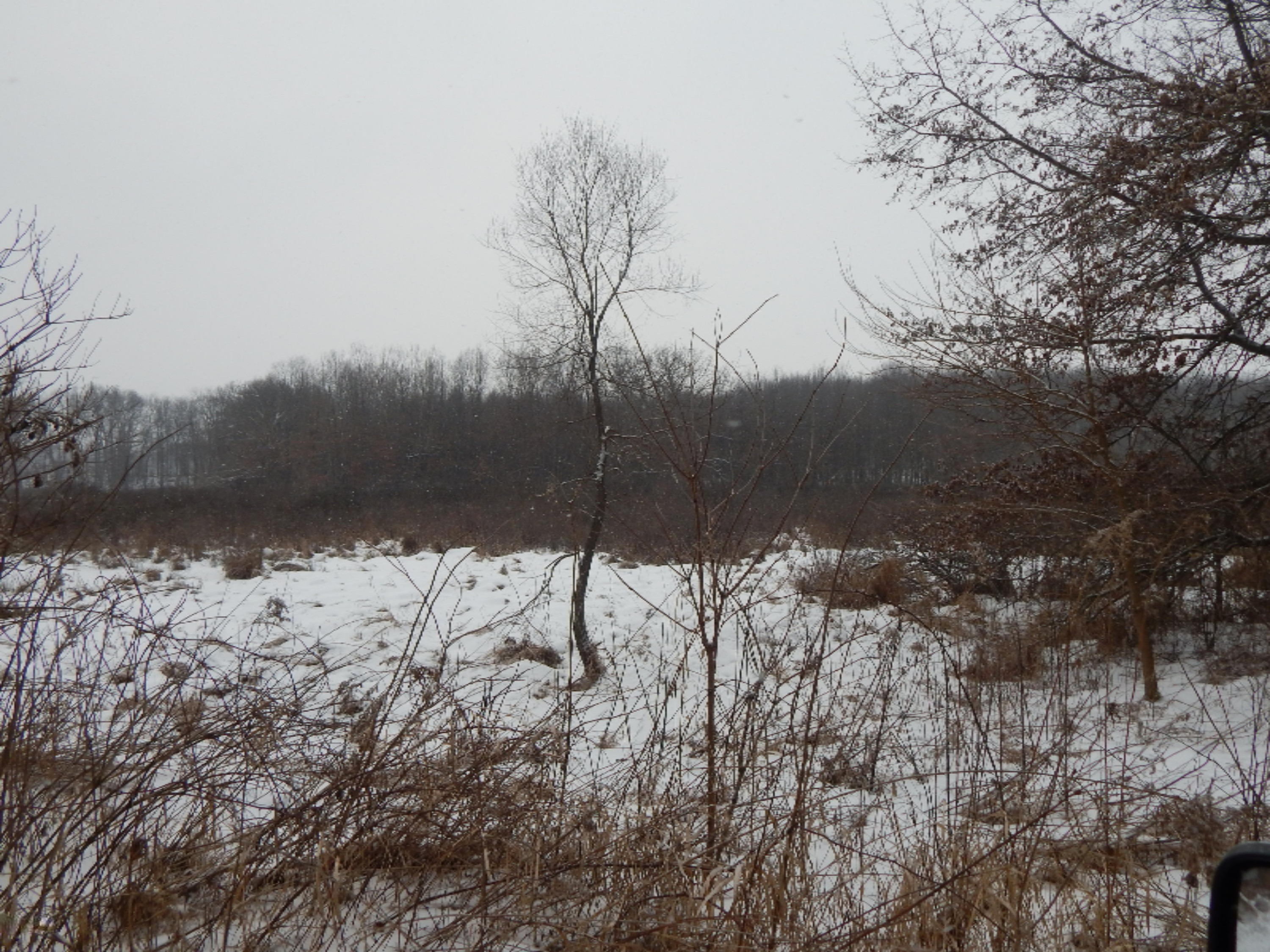 5660 Mann Road Concord, MI 49237 - Photo 23 of 24 DSCN1355