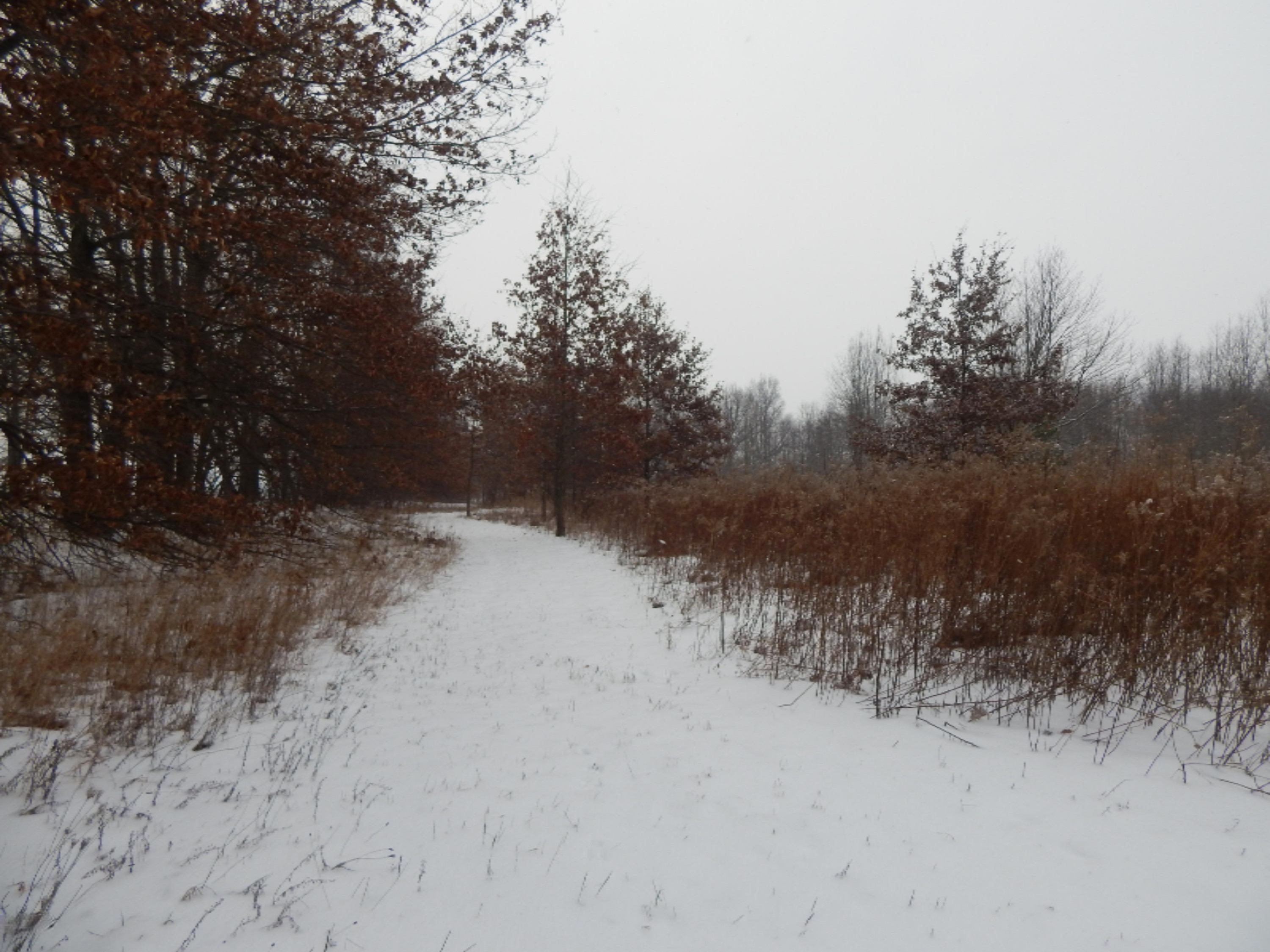 DSCN1335