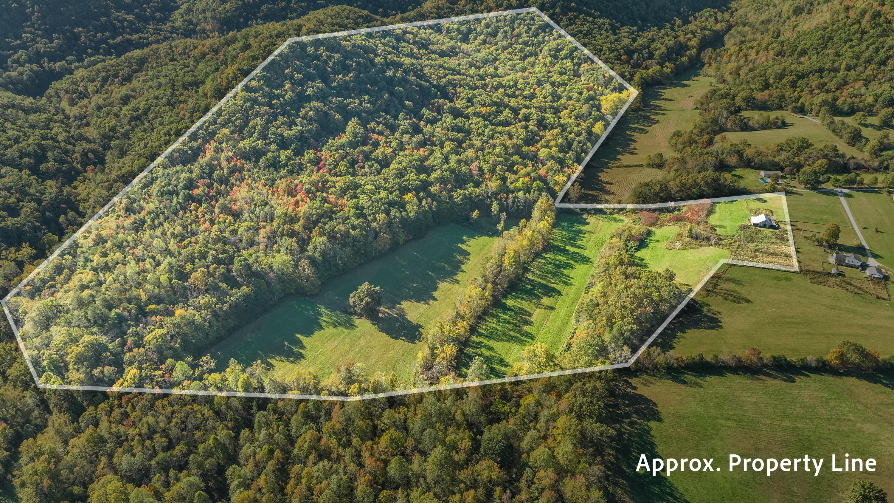 9999 Long Branch Road Berea, KY 40403 - Photo 1 of 16 276 Long Branch Rd 55 Acres