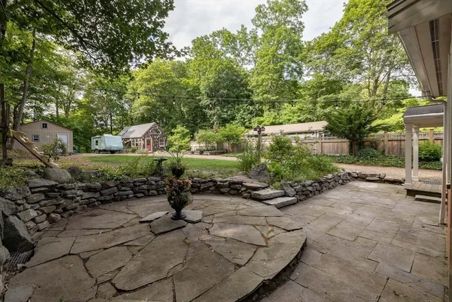 a view of a park with large trees
