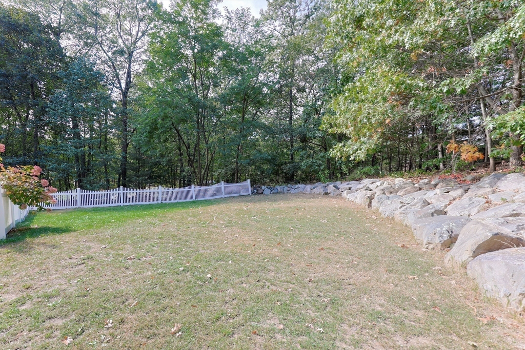 53 Cooper Street Wakefield, MA 01880 - Photo 39 of 42 a view of a backyard with large trees