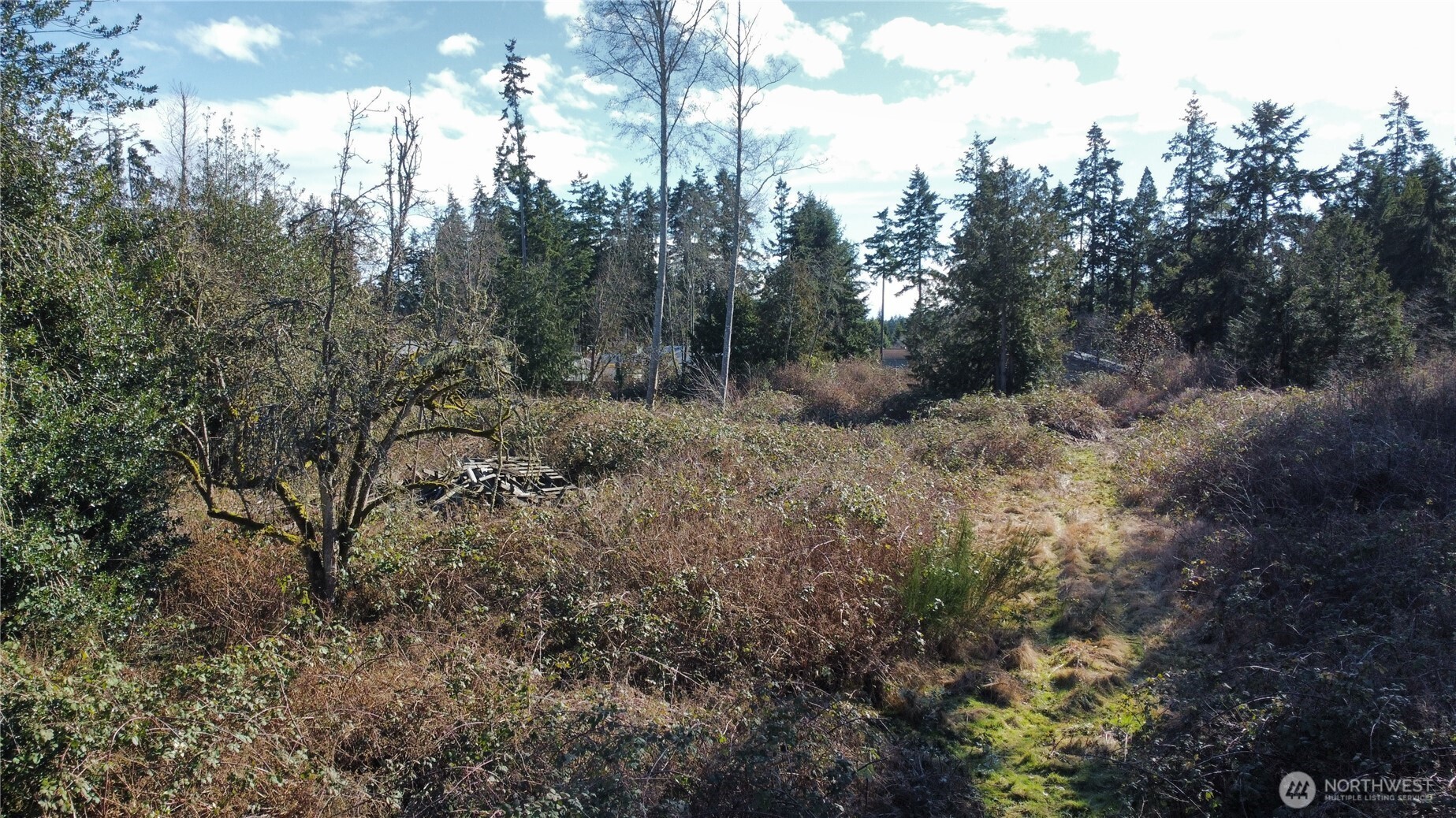 1210 Irondale Road Port Hadlock, WA 98339 - Photo 13 of 19