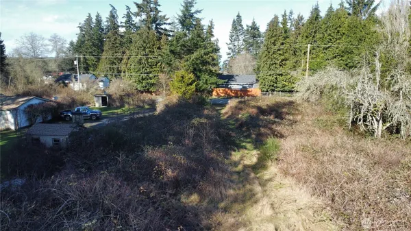 a view of a trees in a yard