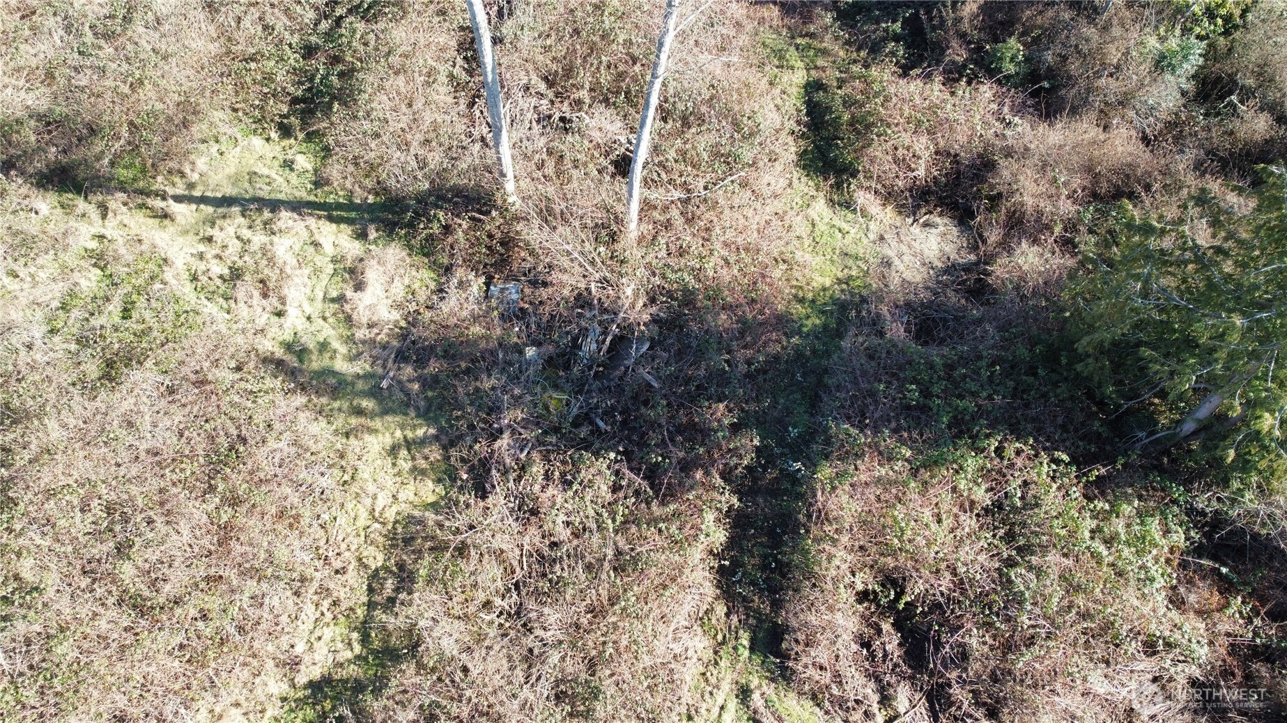 1210 Irondale Road Port Hadlock, WA 98339 - Photo 2 of 19