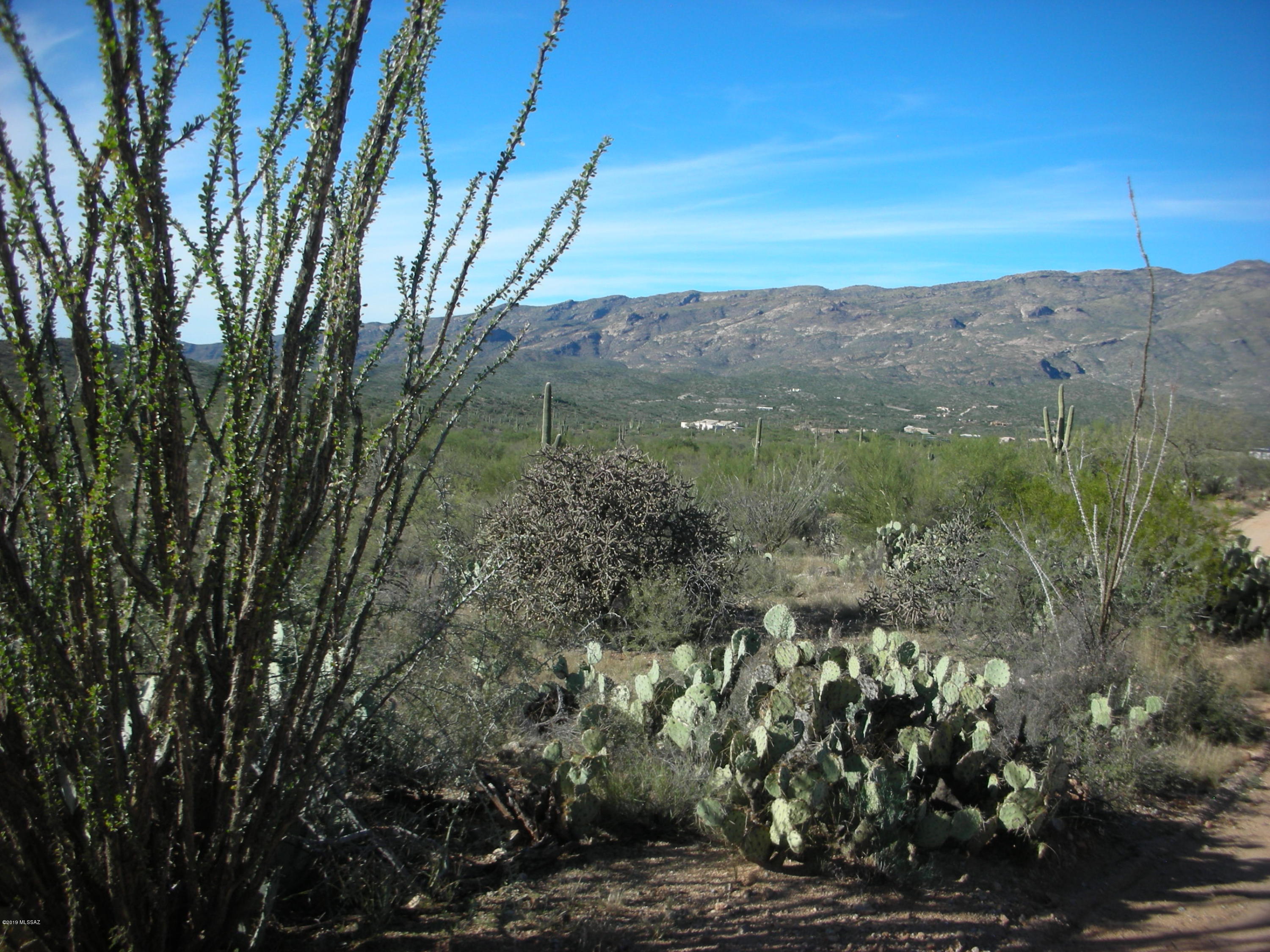 Tbd East Camino Dorotea Road Vail, AZ 85641 - Photo 9 of 24