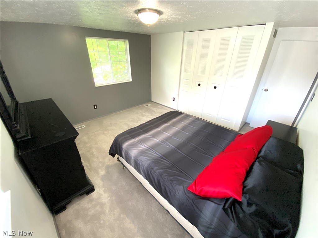 6967 Kirk Road Canfield, OH 44406 - Photo 28 of 34 Gallery Image 28