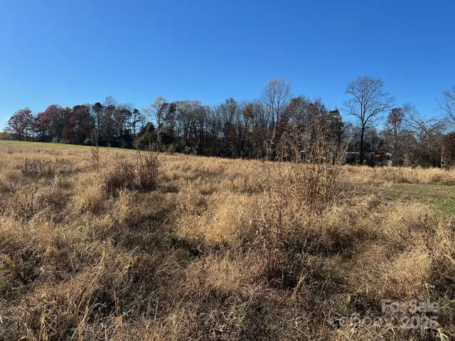 a view of a dry yard