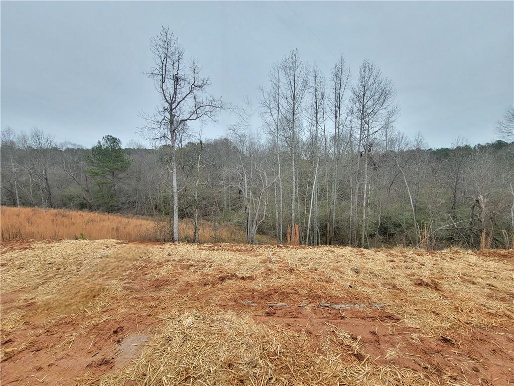 73 Silverleaf Trail Bethlehem, GA 30620 - Photo 12 of 25 a swimming pool with mountain view
