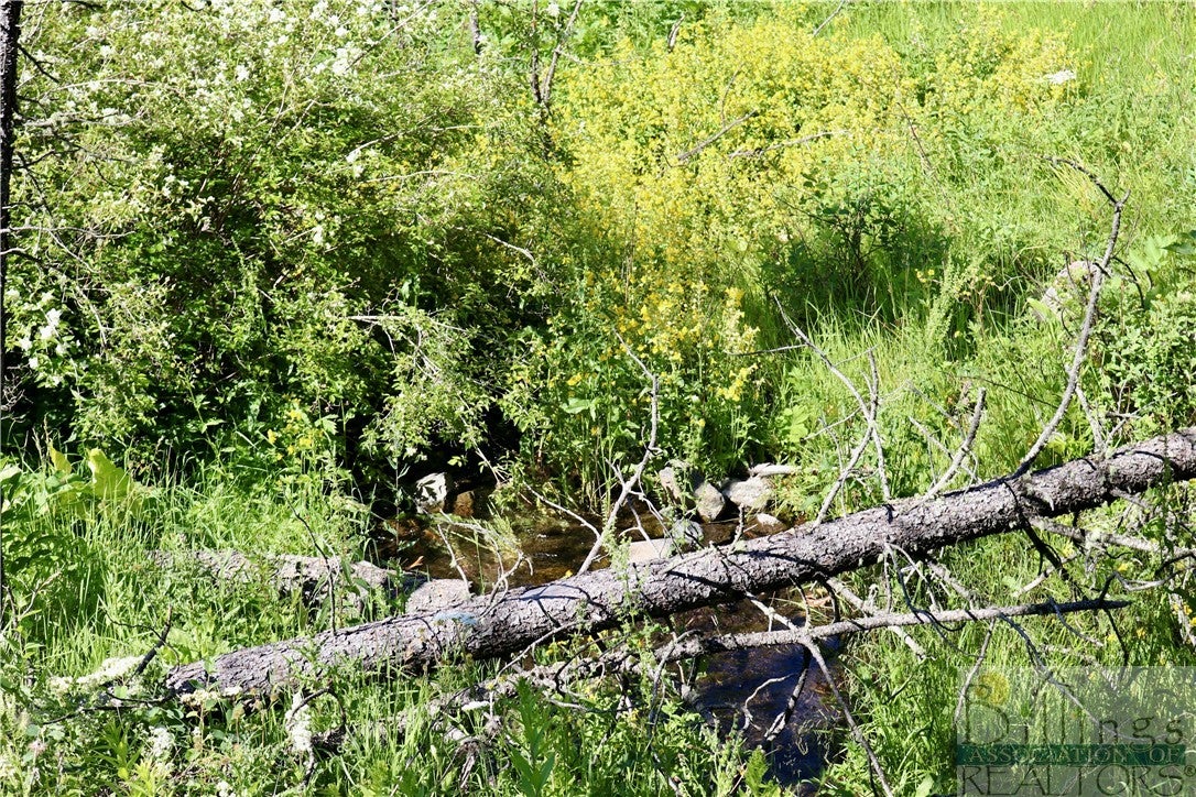 0 Box Canyon Lane Cascade, MT 59421 - Photo 11 of 13 Gallery Image 11