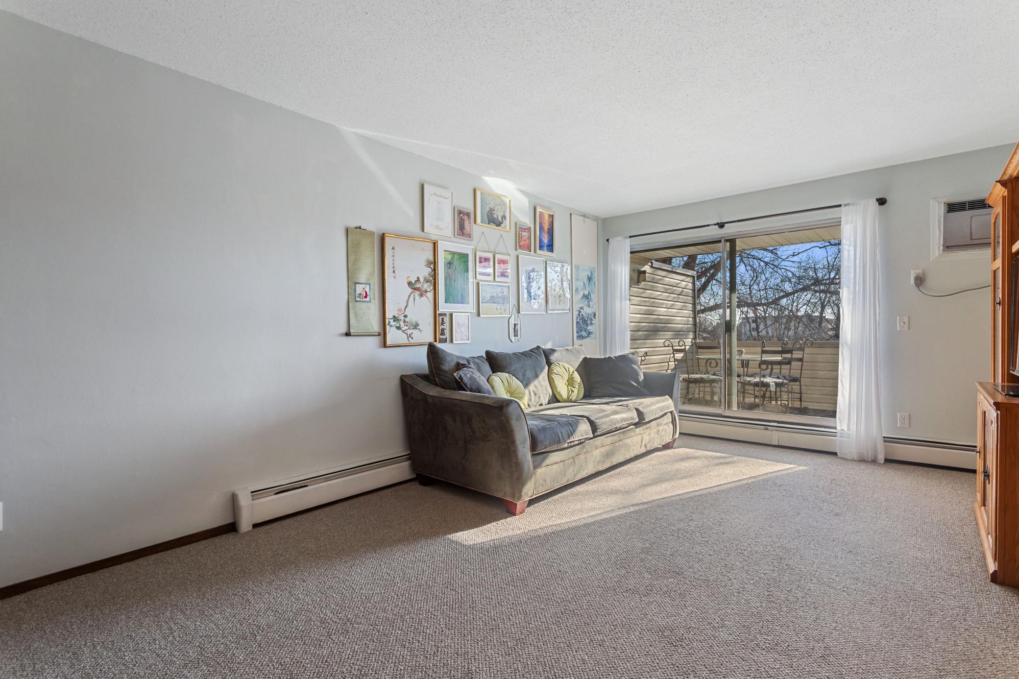 10750 Rockford Road, Unit 313 Minneapolis, MN 55442 - Photo 4 of 23