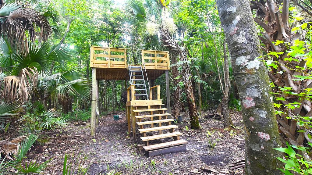 Volco Road Edgewater, FL 32141 - Photo 11 of 17