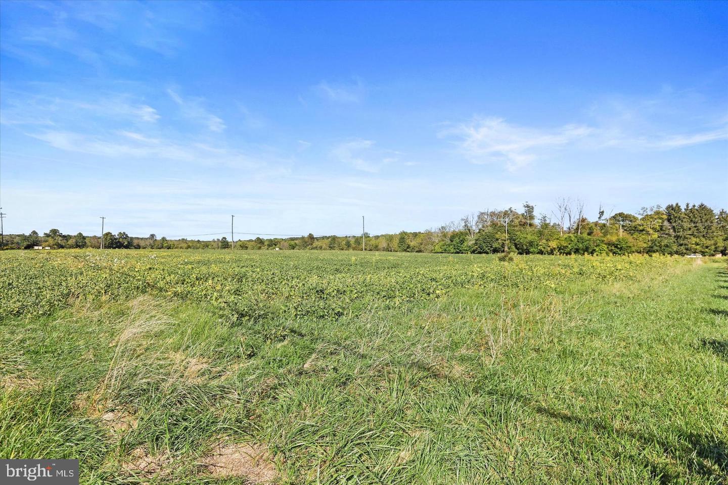 291 Elephant Road Perkasie, PA 18944 - Photo 8 of 40