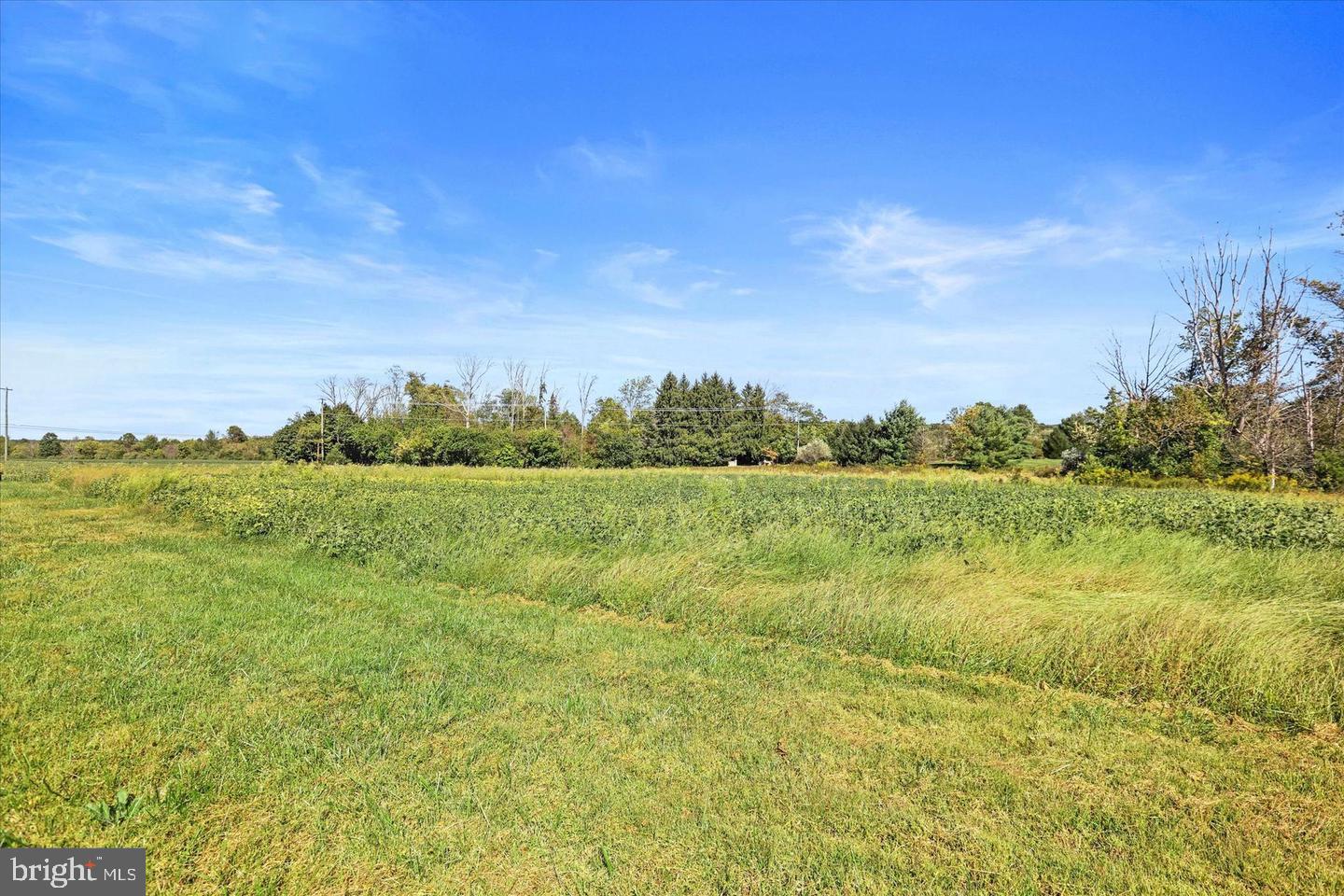 291 Elephant Road Perkasie, PA 18944 - Photo 9 of 40