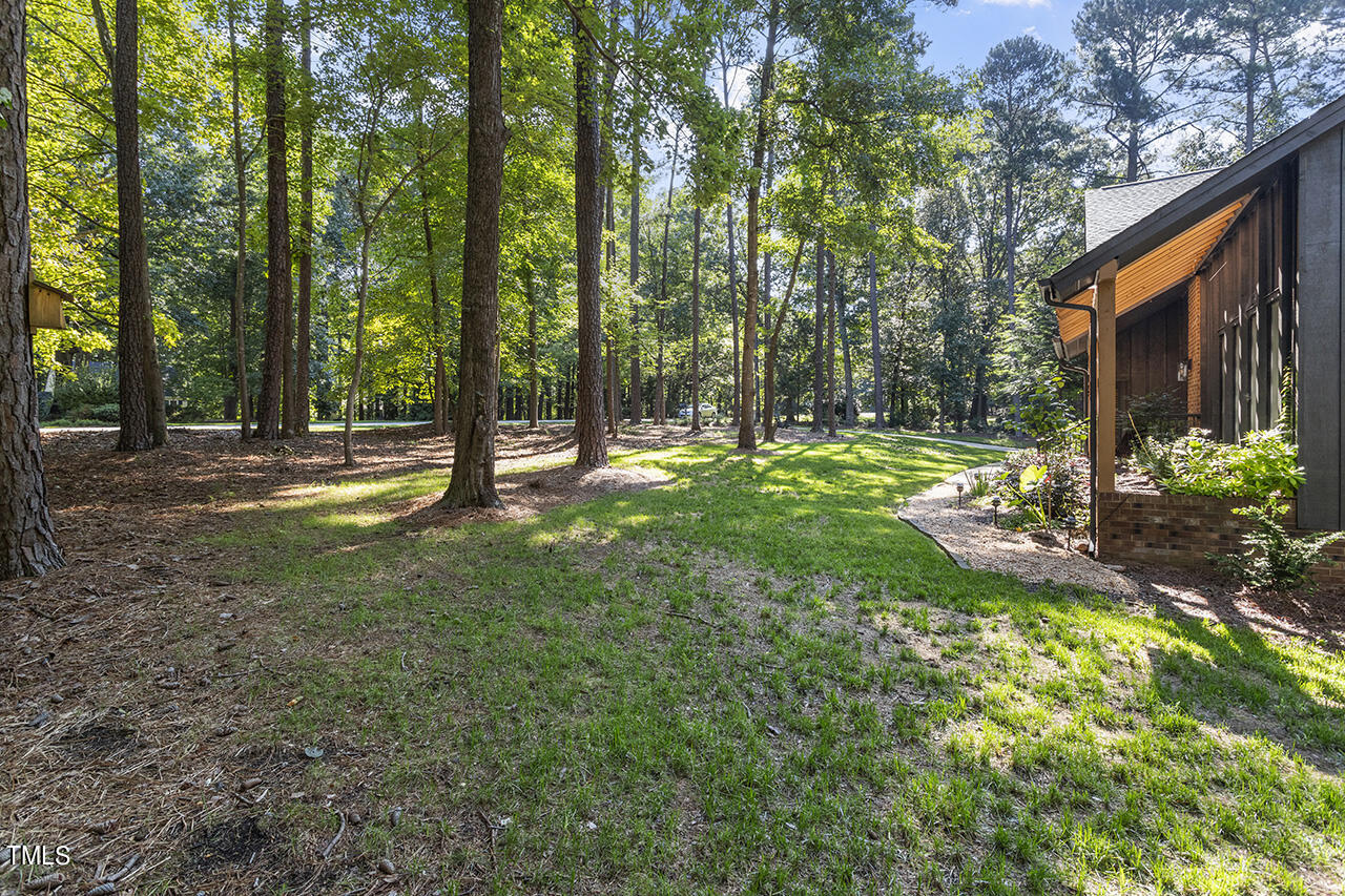 705 Lanham Place Raleigh, NC 27615 - Photo 51 of 53 a view of a yard with a tree