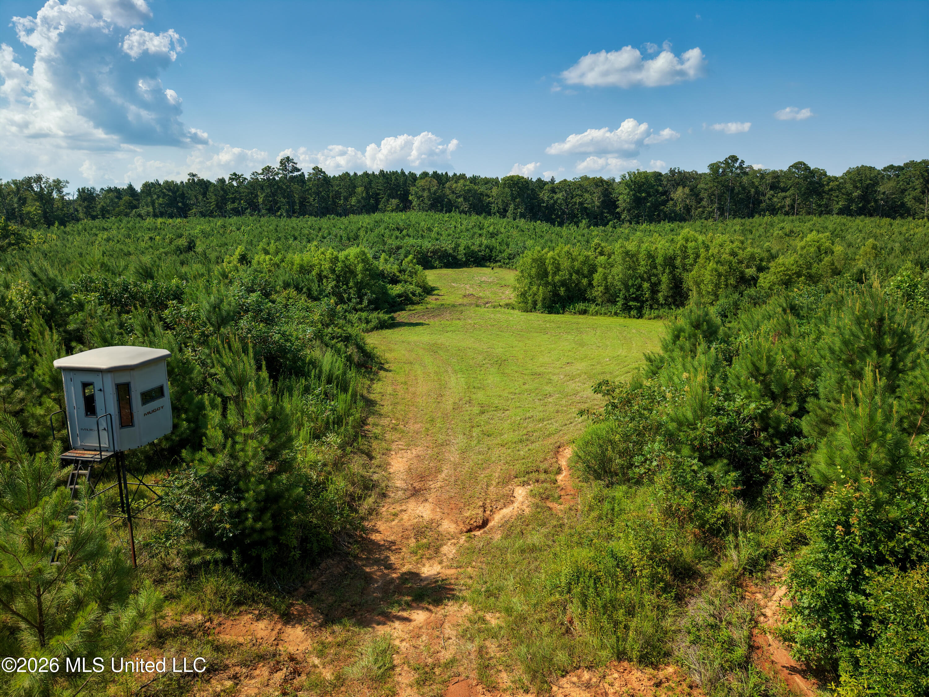 Lower Liberty Gloster Road Liberty, MS 39645 - Photo 5 of 45 103+_- Acres deer stand 1
