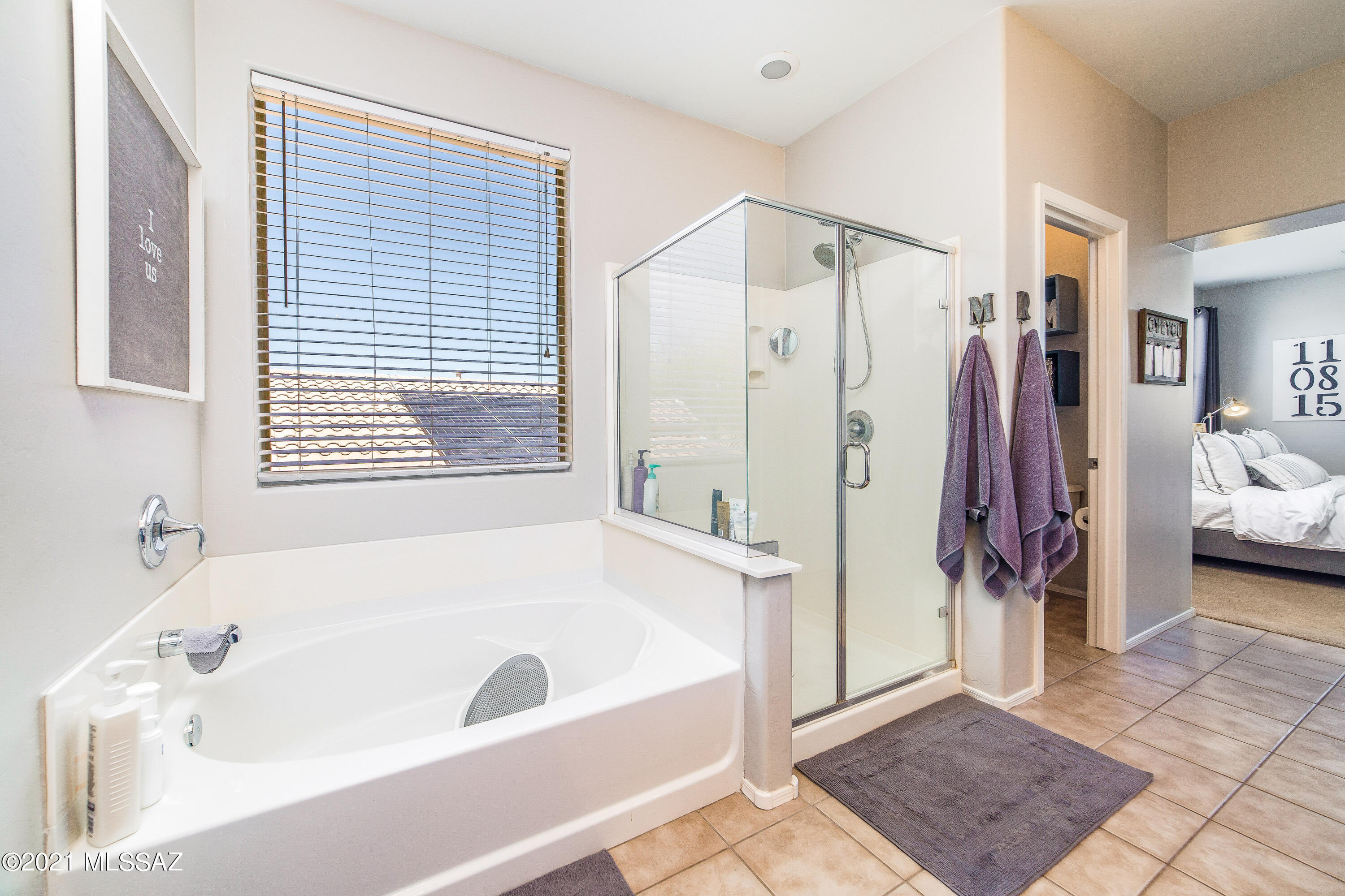 12890 Bloomington Loop Tucson, AZ 85755 - Photo 29 of 43