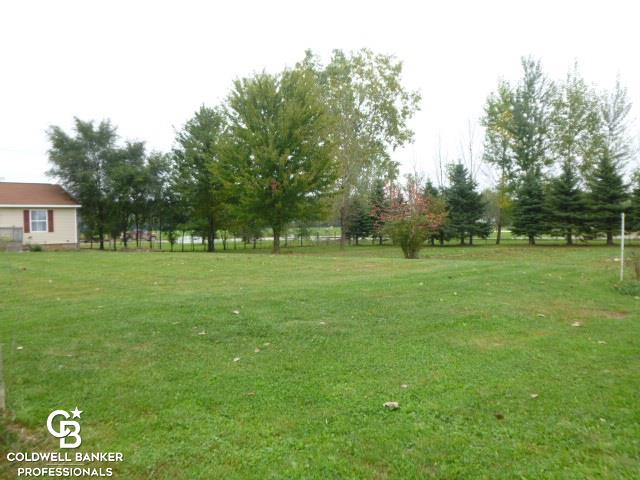 12887 Burt Road Memphis, MI 48041 - Photo 21 of 26 2.5 acres of land to enjoy