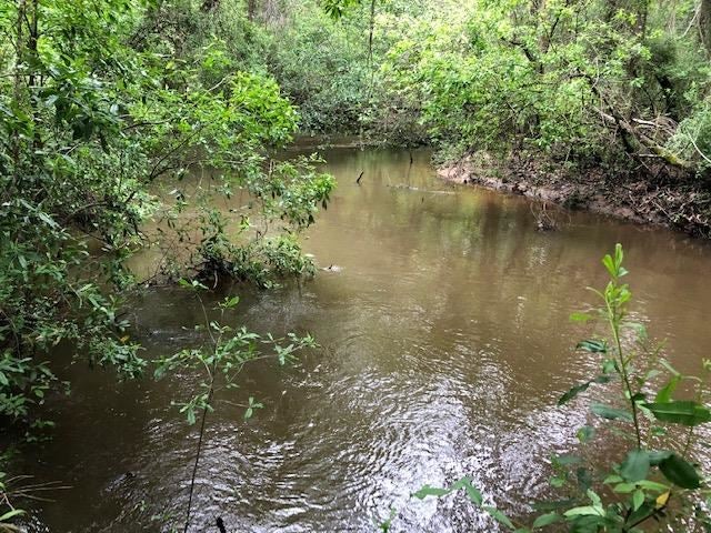 150-ac McDaniel Road Opp, AL 36467 - Photo 2 of 23 Gallery Image 2