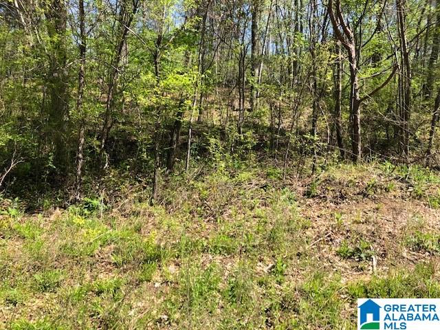 1920 Paradise Valley Road, Unit 1 Gardendale, AL 35071 - Photo 1 of 1