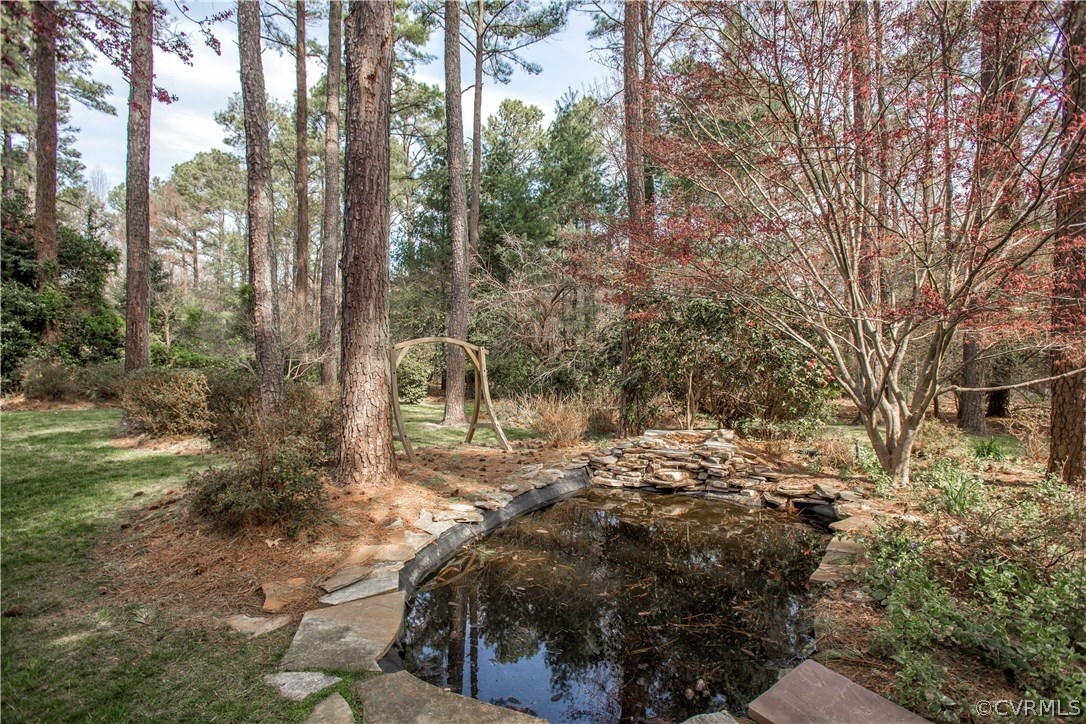 14430 West Salisbury Road Midlothian, VA 23113 - Photo 28 of 36 a view of a forest filled with trees